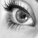 Logo LUNETTES-LUNETTES