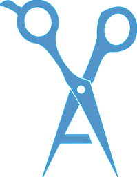 Logo Elsan's