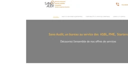 Logo SANO Audit