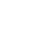 Logo Ewie Europe Ltd