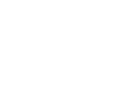 Logo Bridges International