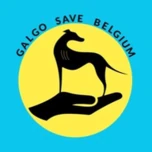 Logo GALGO SAVE BELGIUM
