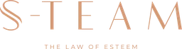 Logo S-TEAM