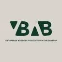 Logo Vietnamese Business Association in the BENELUX