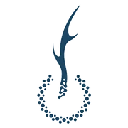 Logo Antleron