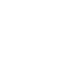 Logo RPA