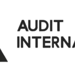 Logo AUDIT INTERNATIONAL