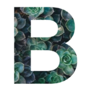 Logo BACHARIS