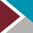 Logo VION