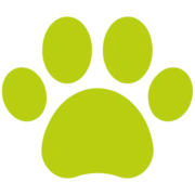Logo Hondenschool muizenheide Beringen
