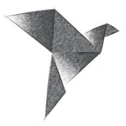 Logo launchbird
