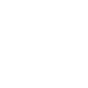 Logo David Keppens