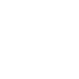 Logo DYLS CONSTRUCT