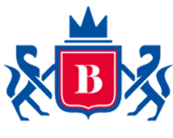 Logo B.R.A. Consulting