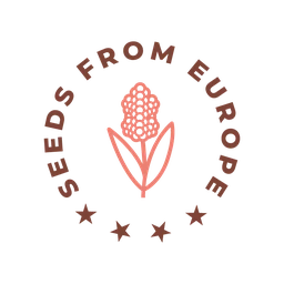 Logo Sorghum ID