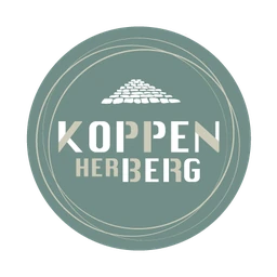 Logo IMPULS FACTORY