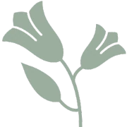 Logo ENZIAN