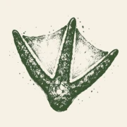 Logo VELD13