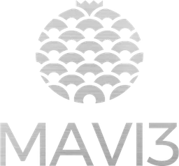 Logo MAVI3