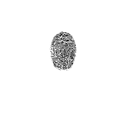 Logo IKOON