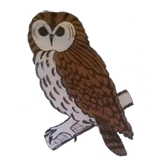 Logo Jeugdraad Lille vzw De Bosuil