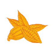 Logo NOIR PANGARE
