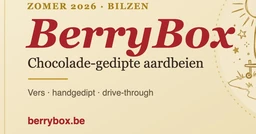 Logo BerryBox