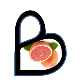 Logo BUSINA CONSULTING