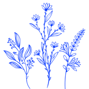Logo LES OMBELLES