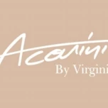 Logo Virviso