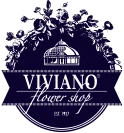Logo VIVIANO