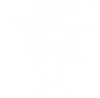 Logo VF Projects