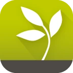 Logo AVALANE