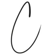 Logo BvB