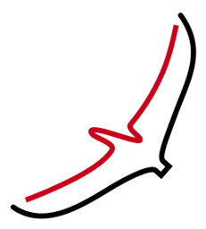 Logo Pulsed