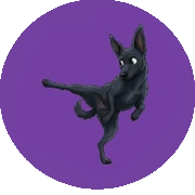 Logo Jinjja Taekwondo
