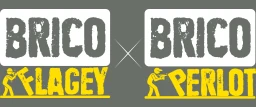 Logo BRICO FLAGEY