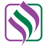 Logo HIS CONSULTING
