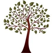 Logo BVV Algemene Tuinwerken