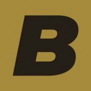 Logo BXL Airport Transfers