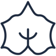 Logo ADAE