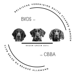 Logo Belgische Vereniging voor Duitse Staande Honden VZW - Club Belge du Braque Allemand