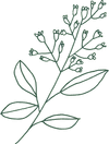 Logo HARDEF