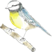 Logo vzw de pimpelmees speel- en beleefdagen