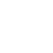 Logo BL GROUP
