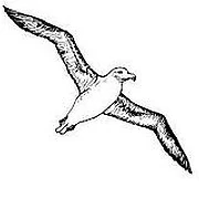 Logo L'Albatros