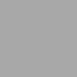 Logo POLYMERS AG