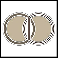 Logo Axon Consultancy