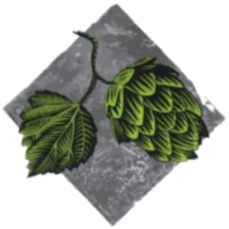 Logo HOUBLON DU CONDROZ