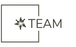 Logo TEAM PROJECT